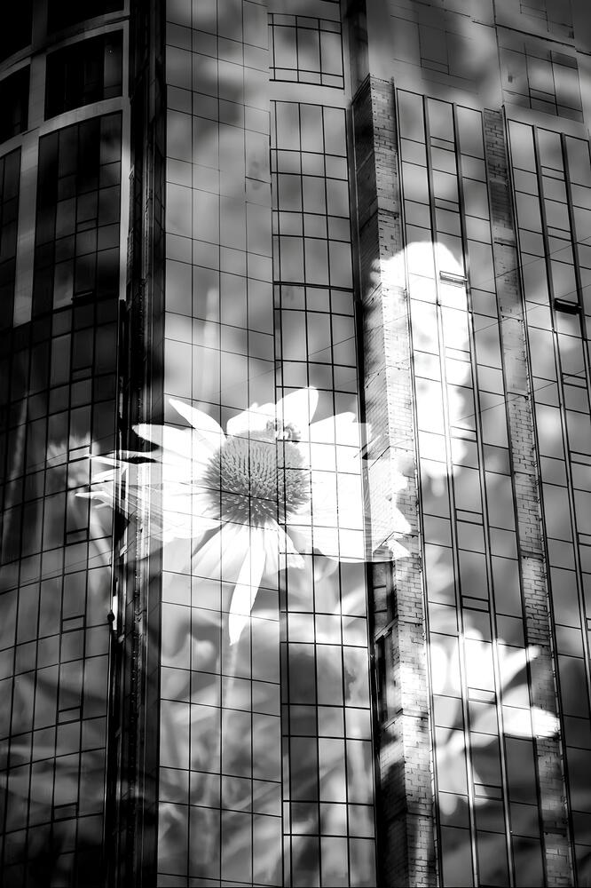 Фотография автора Роман Рамазанов