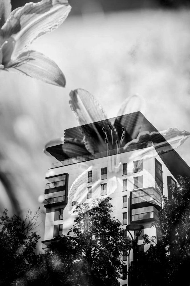 Фотография автора Роман Рамазанов