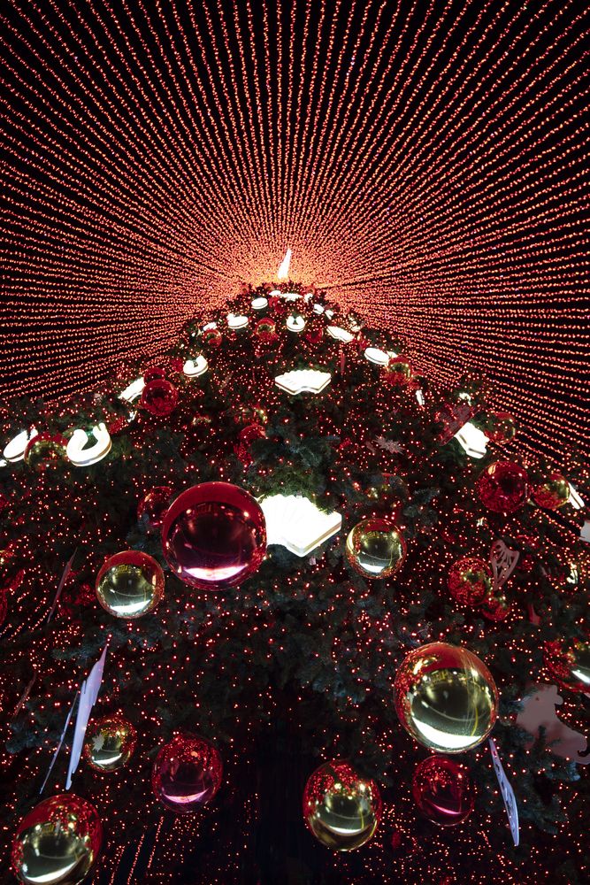 Photograph by Максим Мураков