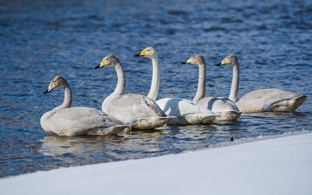 Photograph by Сергей Пидронов