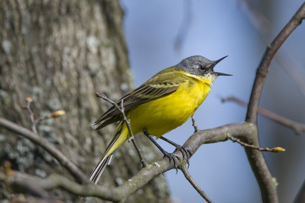 Photograph by Сергей Пидронов