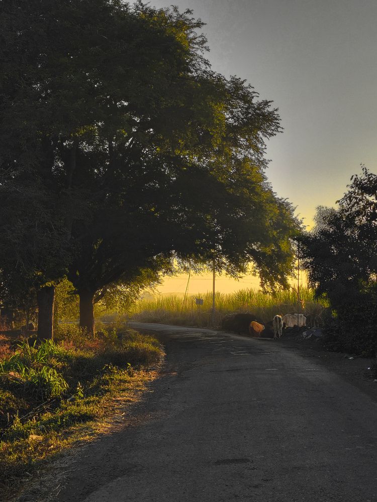 Photograph by yash upadhye