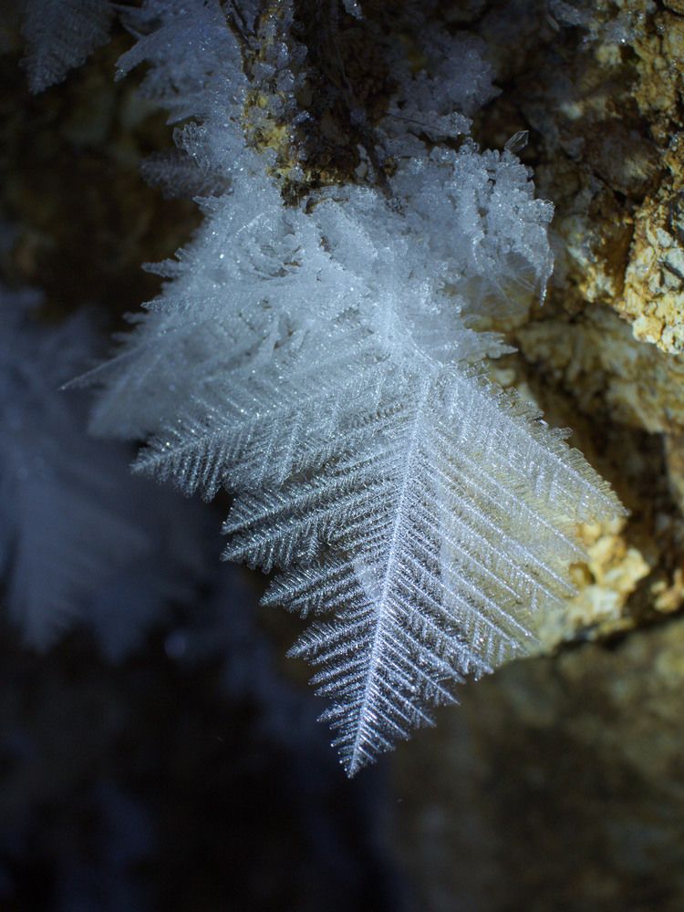 Photograph by Алексей Поляков