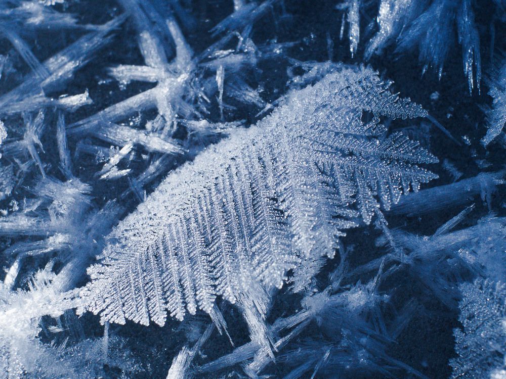 Photograph by Алексей Поляков