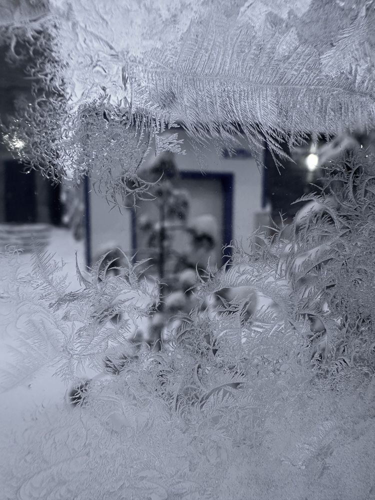 Photograph by Iuliia Govorunenko