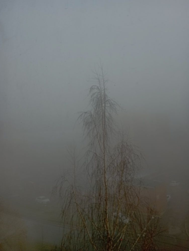 Photograph by Елена Ерасова