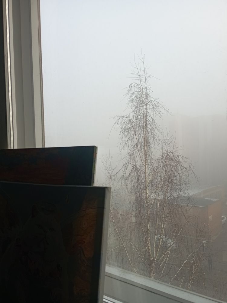 Photograph by Елена Ерасова