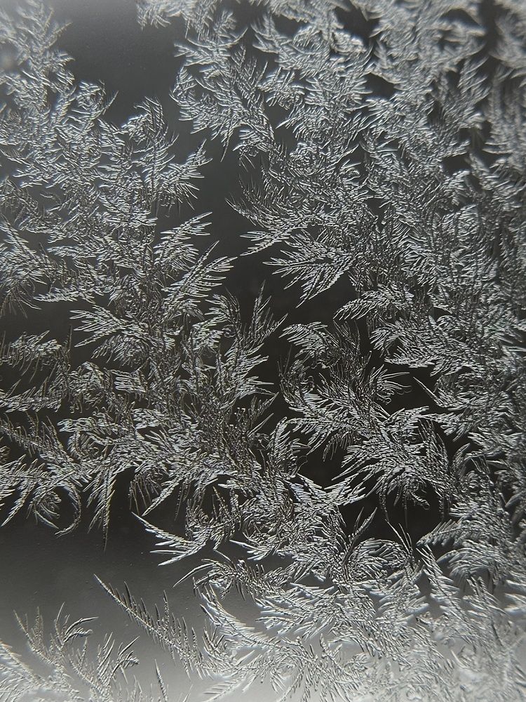 Фотография автора Анастасия