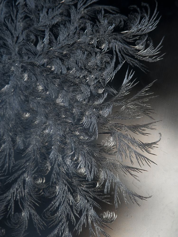 Photograph by Анастасия