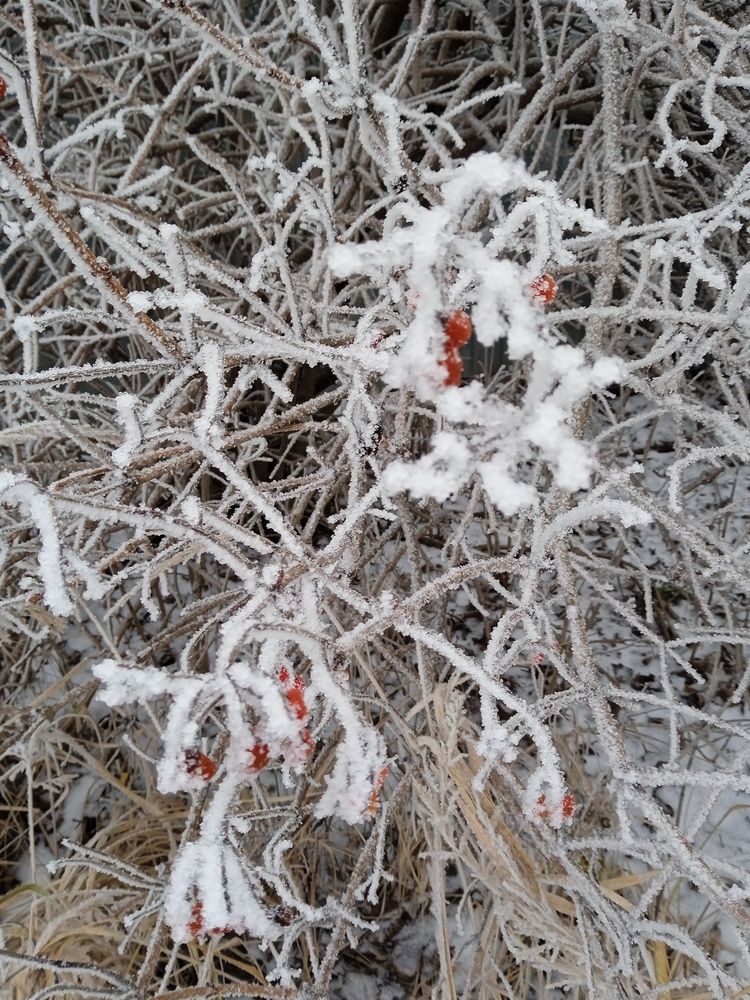 Photograph by Светлана