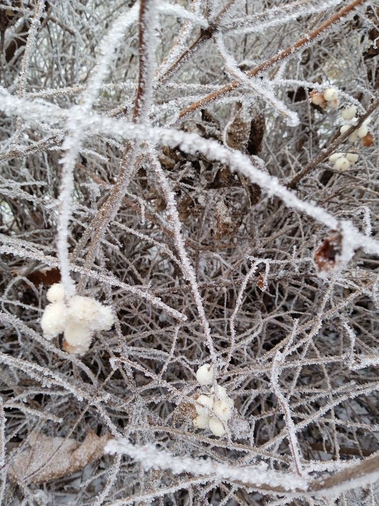 Photograph by Светлана