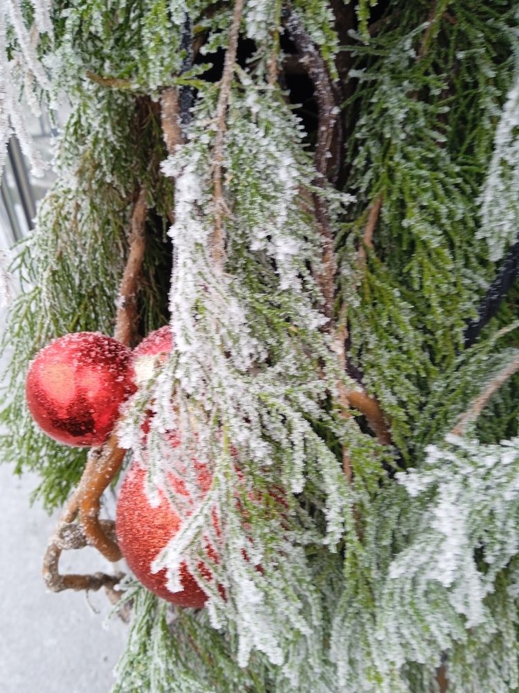 Photograph by Светлана