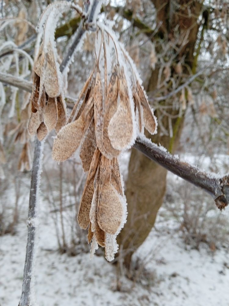 Photograph by Светлана