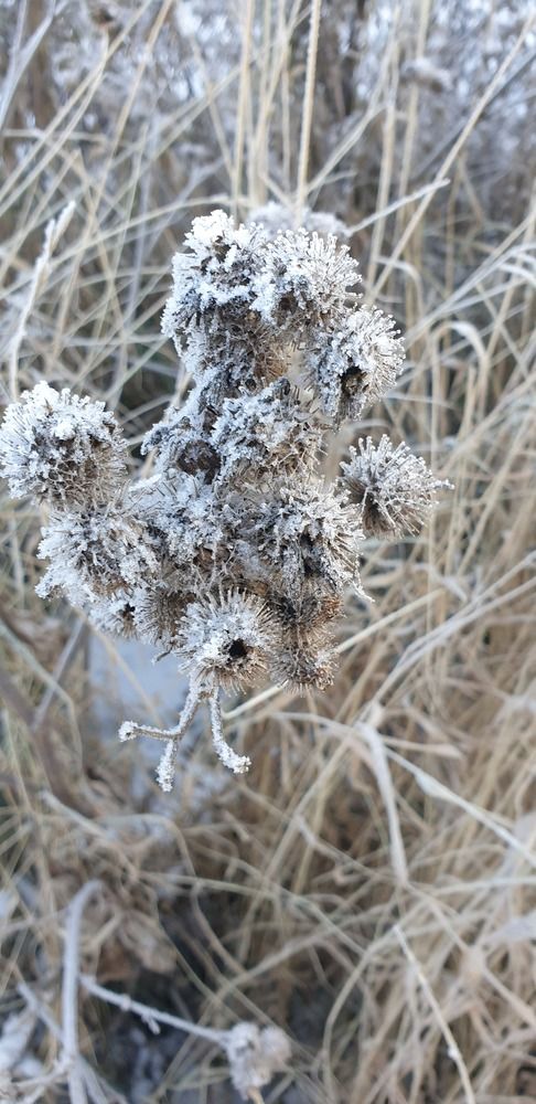 Photograph by Светлана Тропман