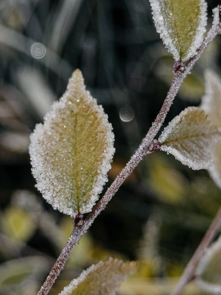 Фотография автора Анастасия Терехова