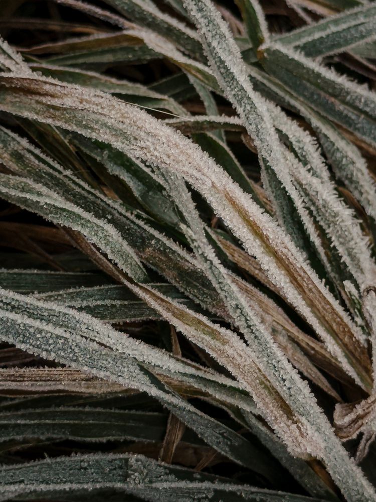 Фотография автора Анастасия Терехова