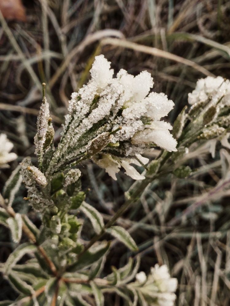 Фотография автора Анастасия Терехова