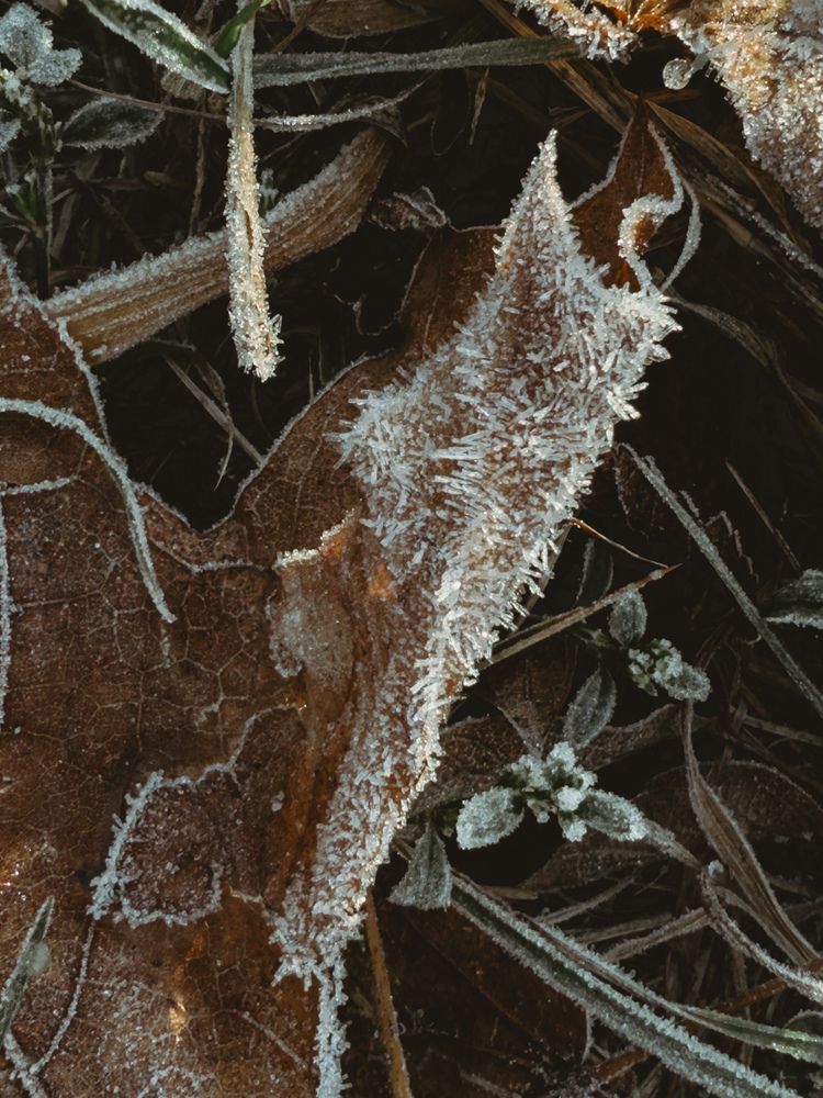 Фотография автора Анастасия Терехова