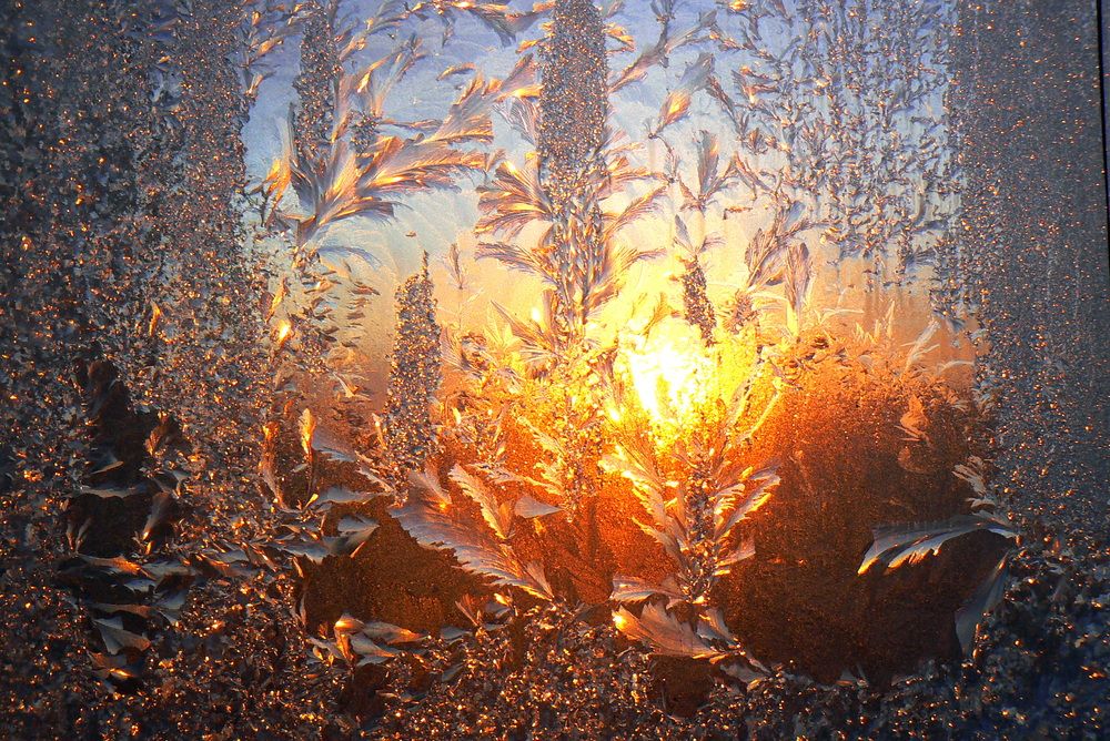 Photograph by николай зайцев