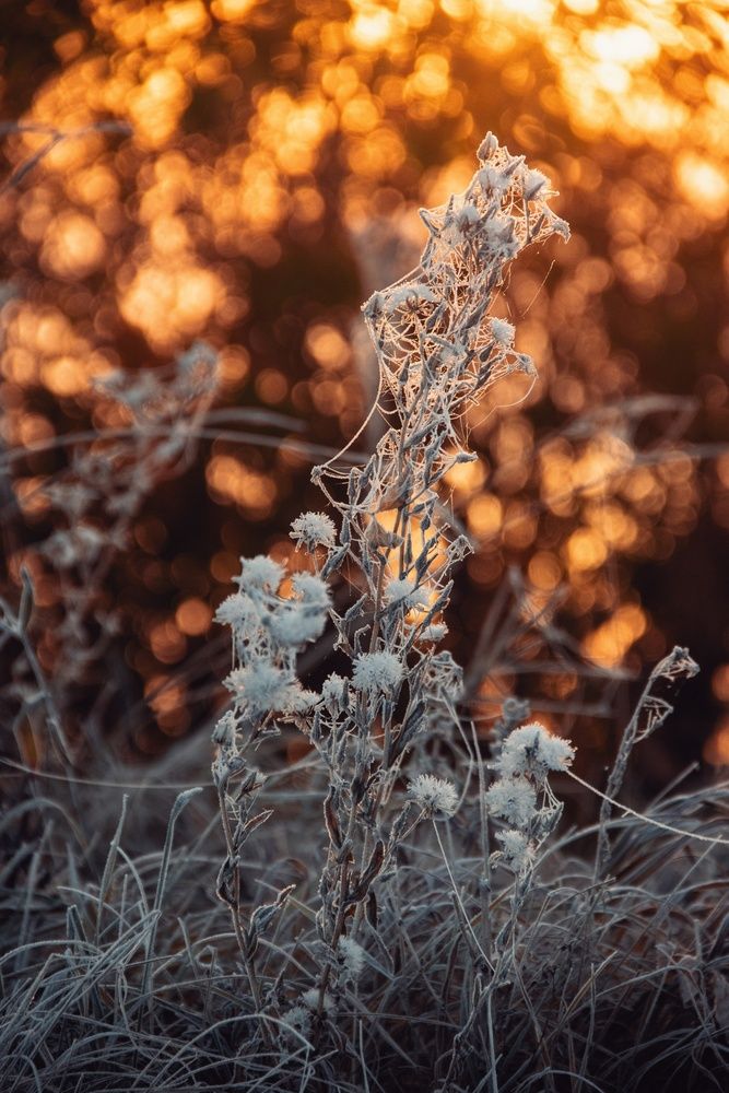 Photograph by Анна Любимова