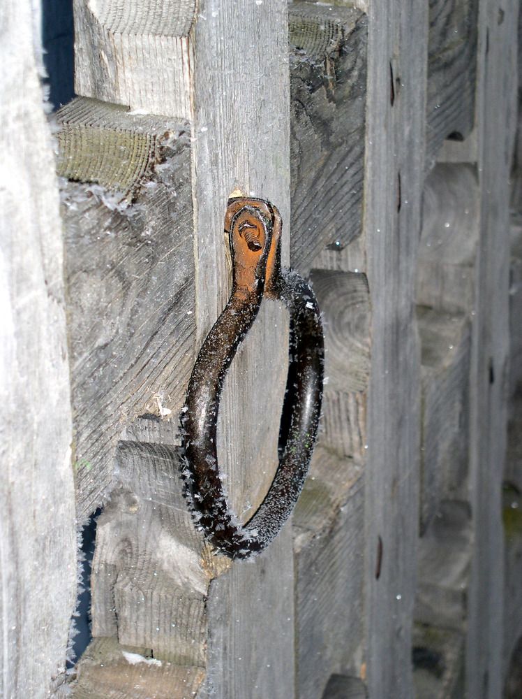 Photograph by Алексей Банных