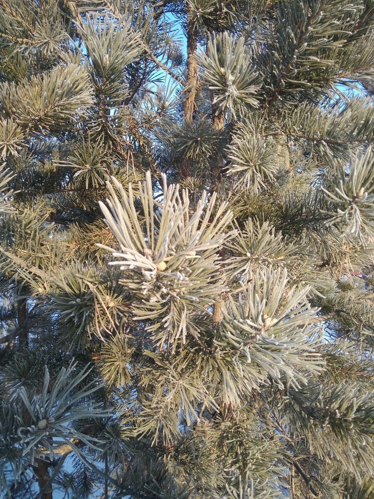 Photograph by Алексей Банных