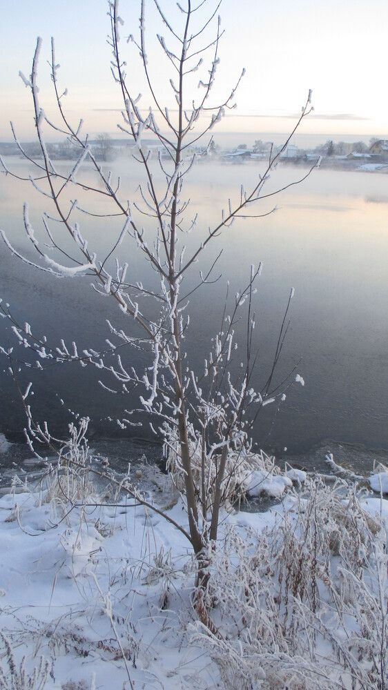 Photograph by Алексей Банных