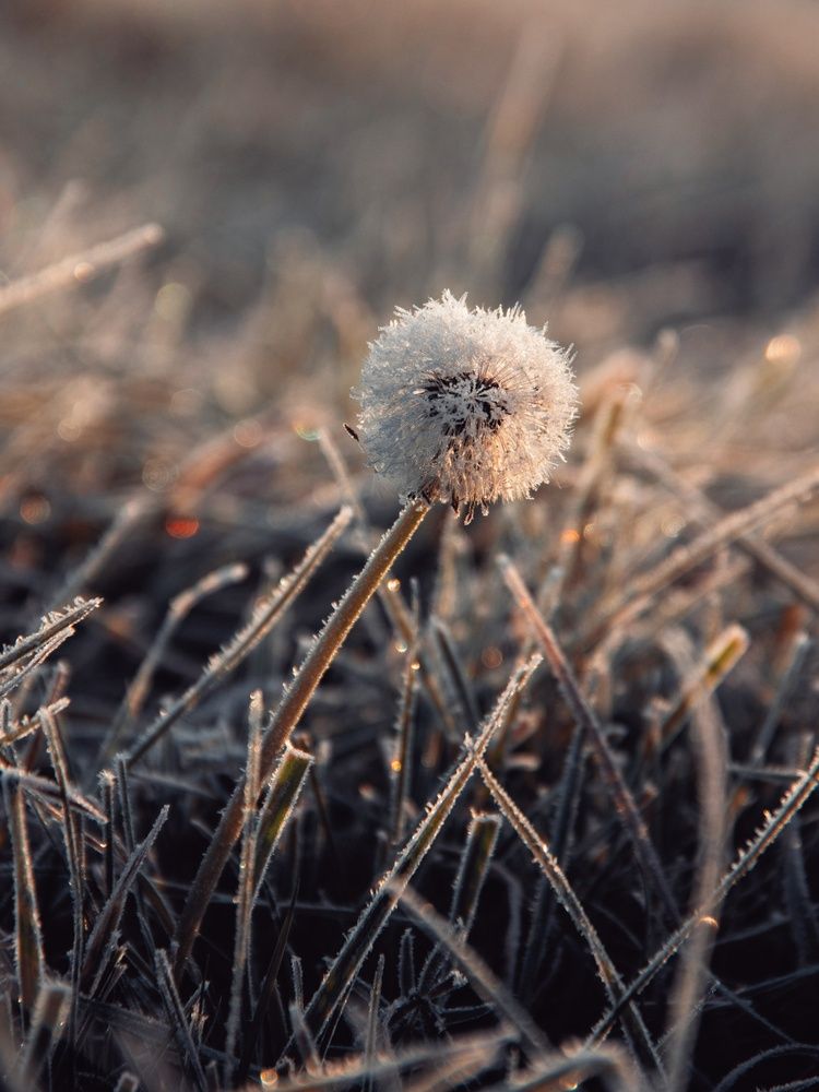 Photograph by Анна Любимова