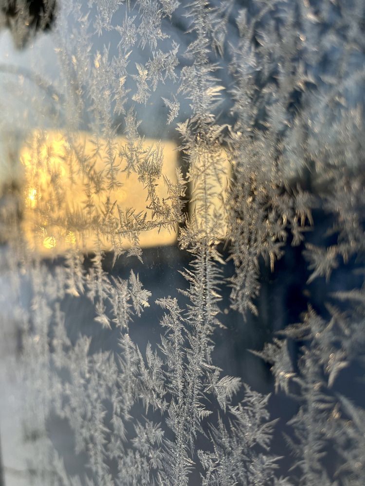 Photograph by Ирина Селиверстова