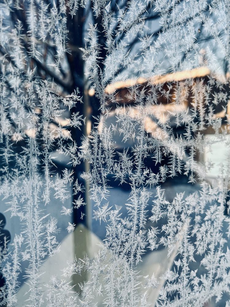 Photograph by Ирина Селиверстова