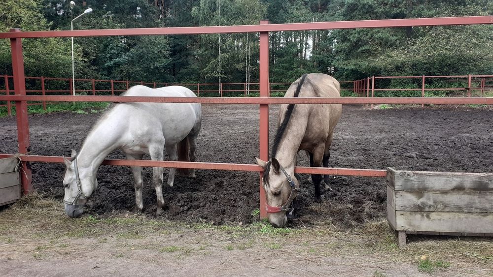 Photograph by Елена Лещева