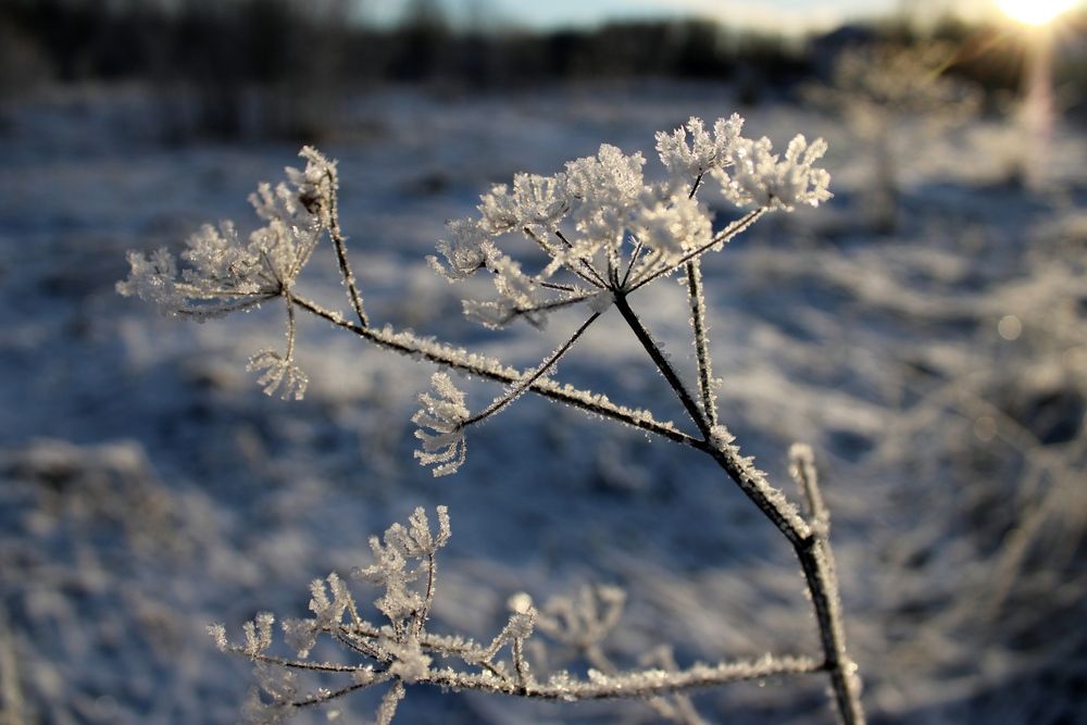 Photograph by Olga Bagaeva