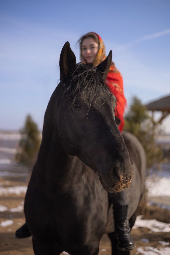 Фотография автора Алёна Маринина