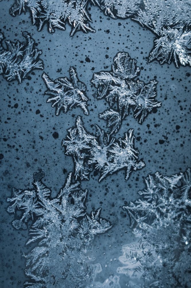 Фотография автора Виктория Трущенко