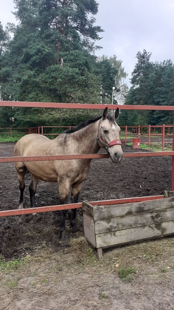 Photograph by Елена Лещева