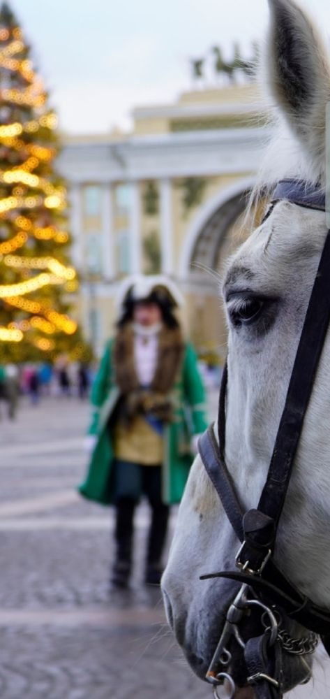 Photograph by Марина Безенкина