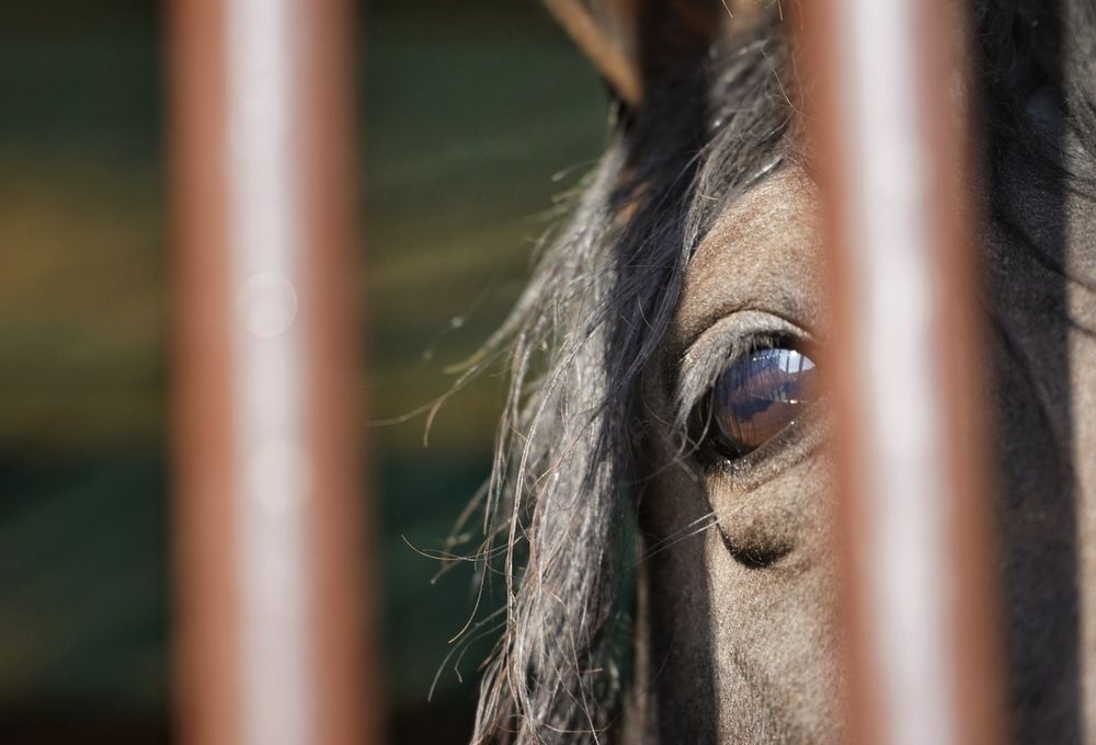 Photograph by Марина Безенкина