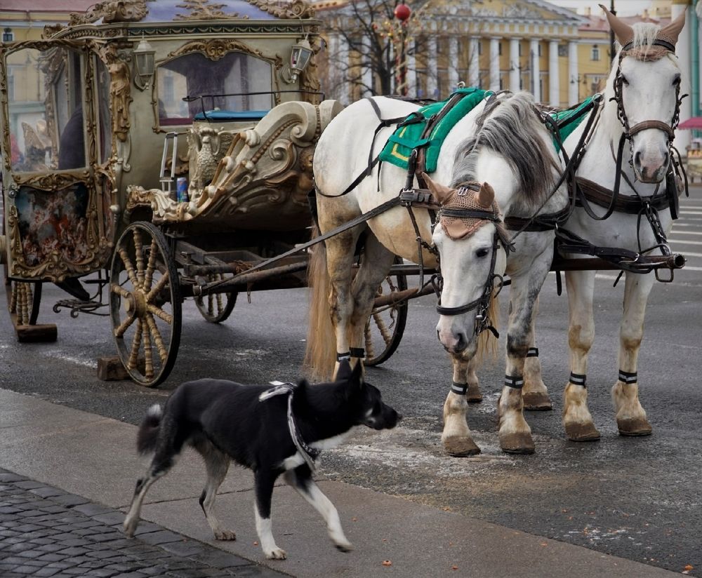 Photograph by Марина Безенкина