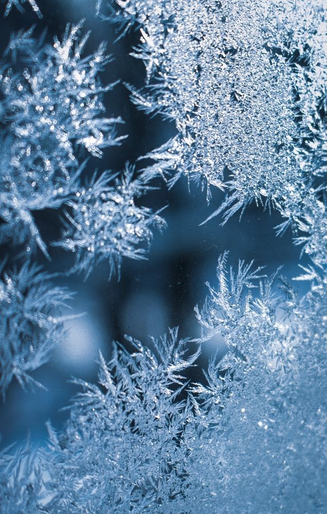 Фотография автора Виктория Трущенко