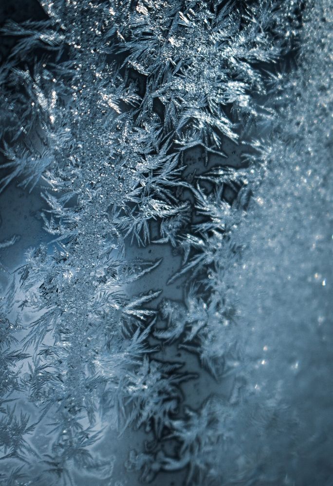 Фотография автора Виктория Трущенко