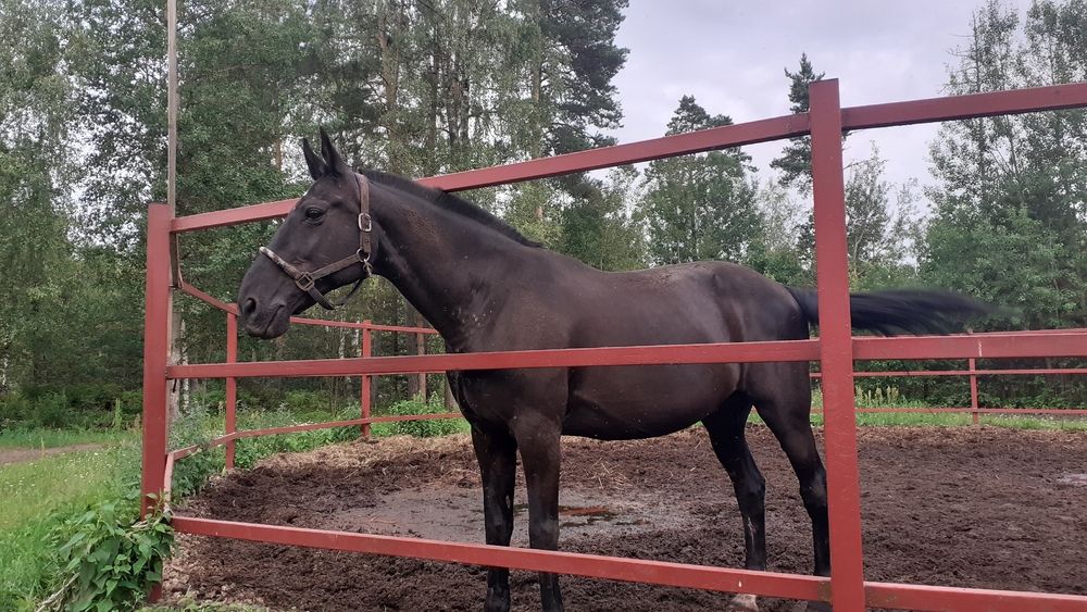 Photograph by Елена Лещева