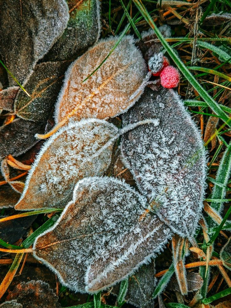 Дыхание зимы