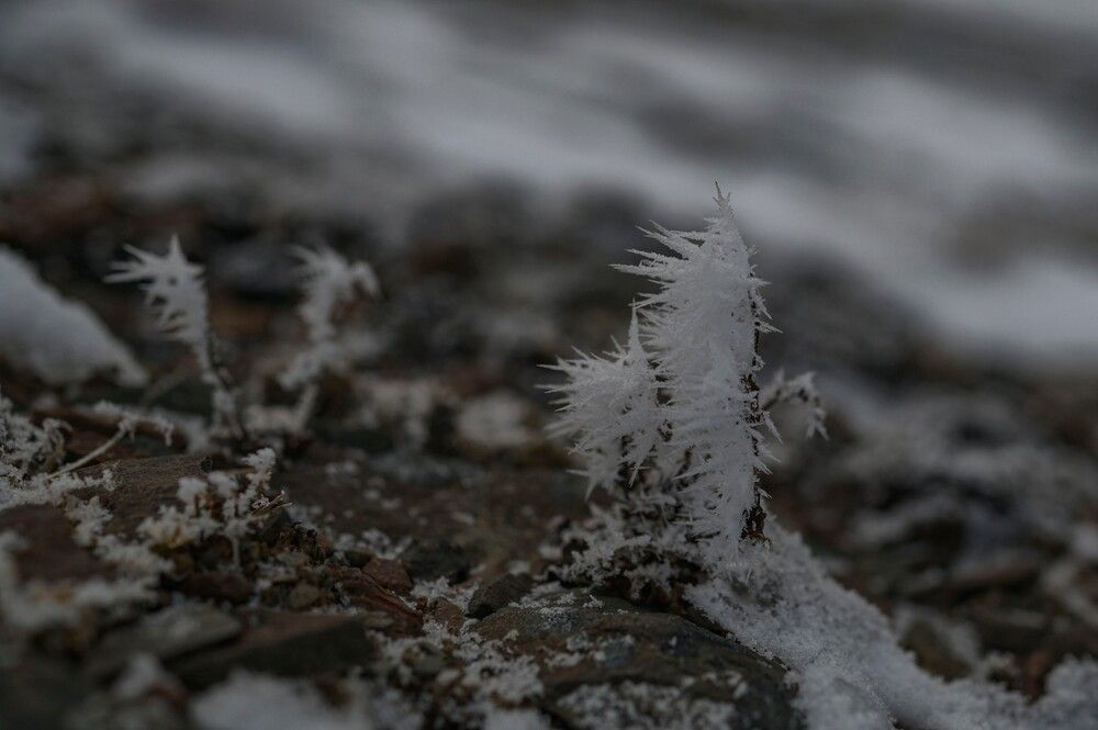 Photograph by Алексей Логинов