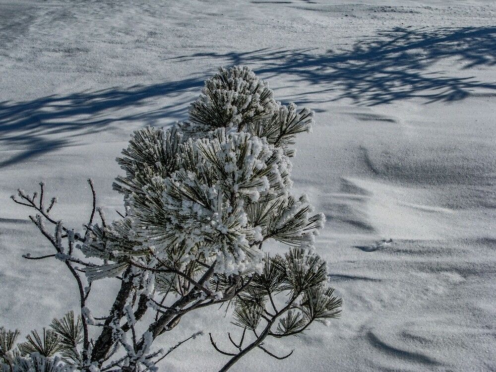 Photograph by Алексей Логинов
