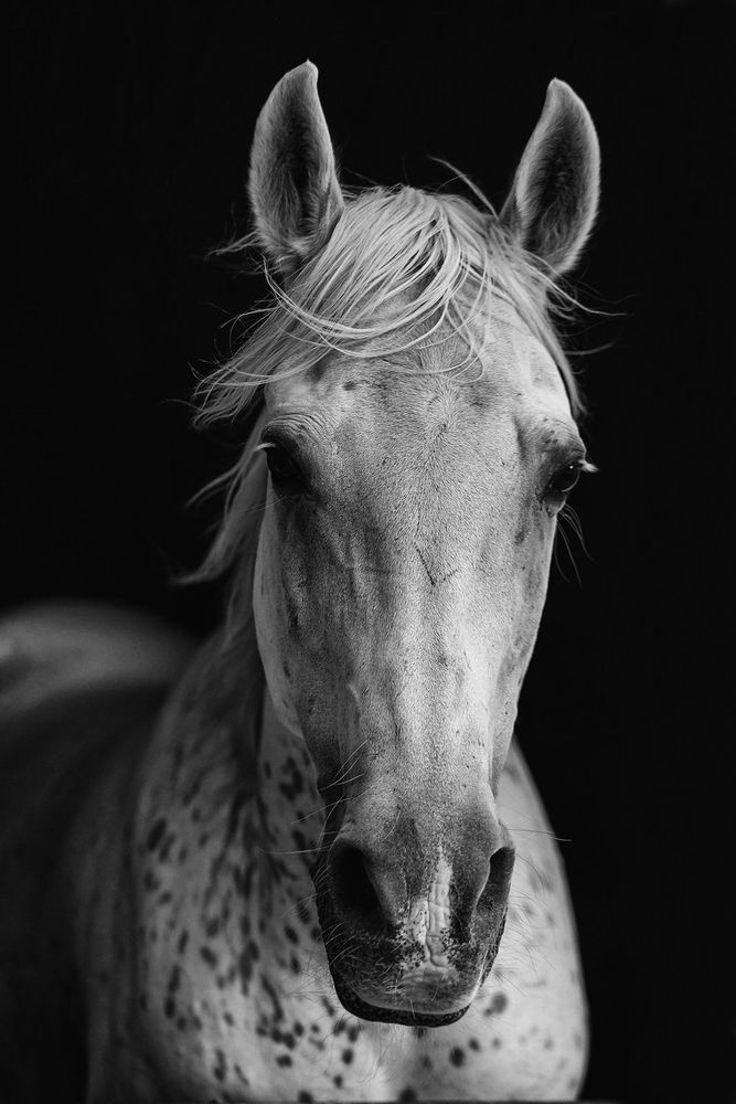 Photograph by István Szabó