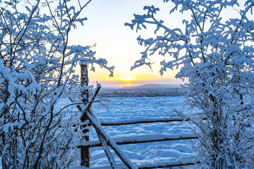 Зимнее утро на полюсе Холода в Оймяконе.