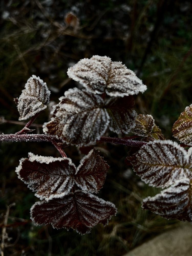 Photograph by Динара