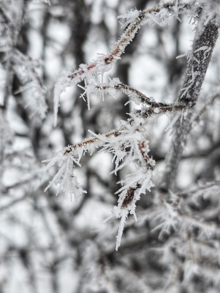 Photograph by Елена Ибрагимова