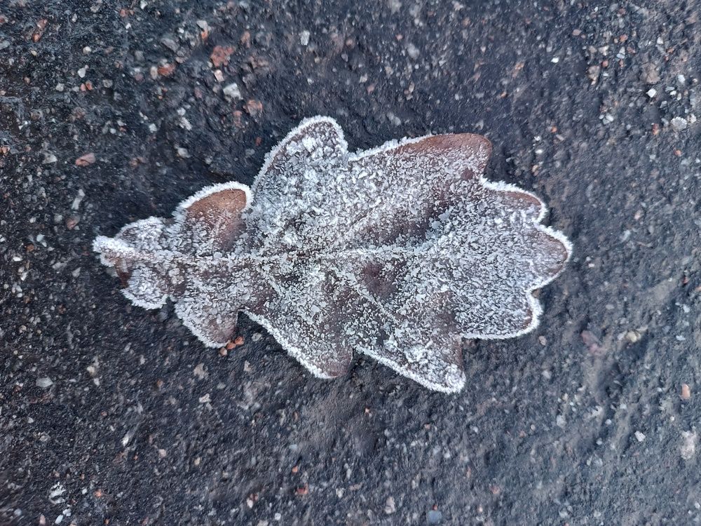 Photograph by Nikita Zorin