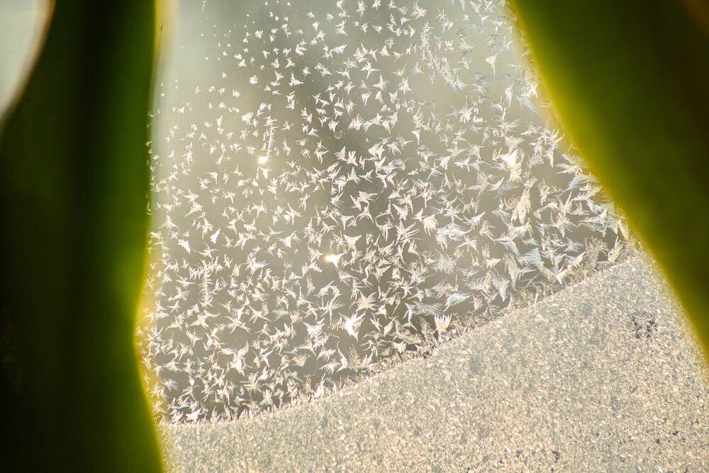 Photograph by Максим Карпович